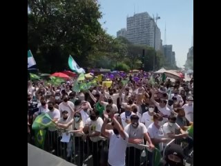 pocket reg o, called temer to write his loss